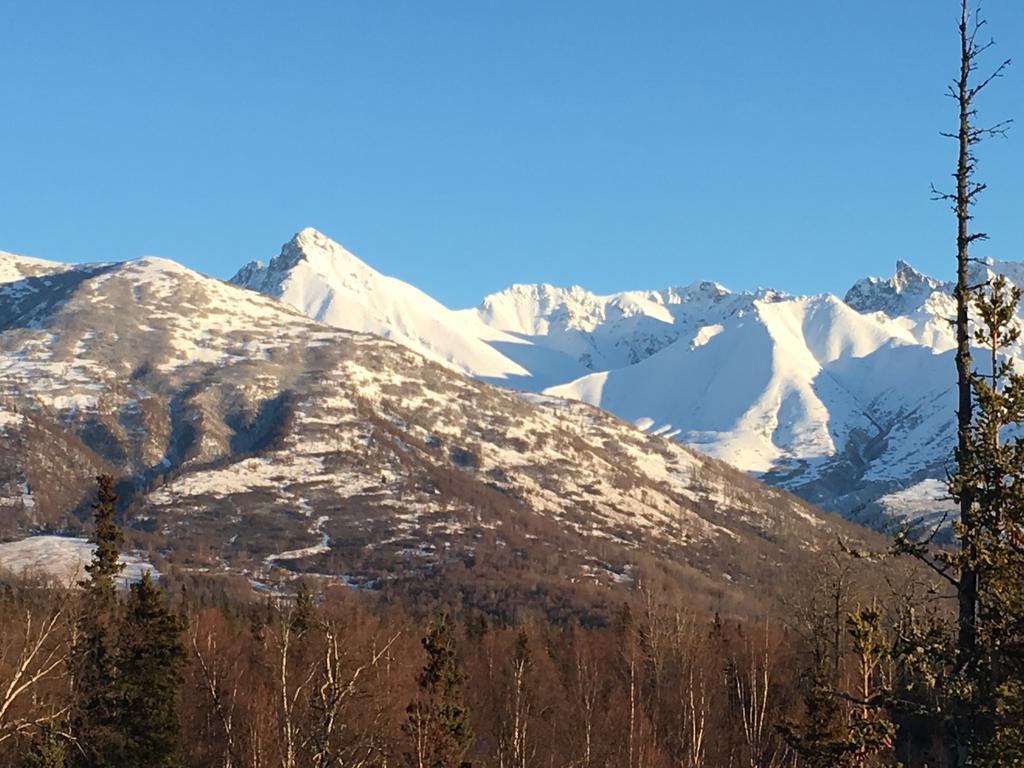 Alaska Knotty Pine B&B Palmer Exteriör bild